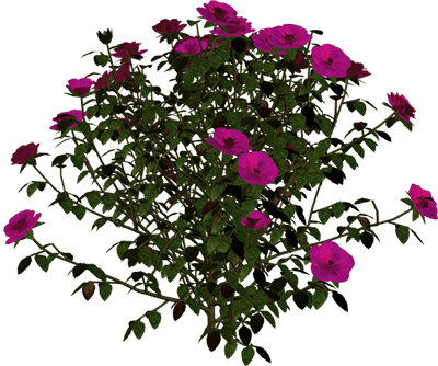 5d93fafe4246ce74f5eb1182ab23ca6e