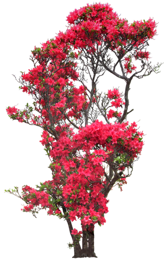 2103e443.1png.1png