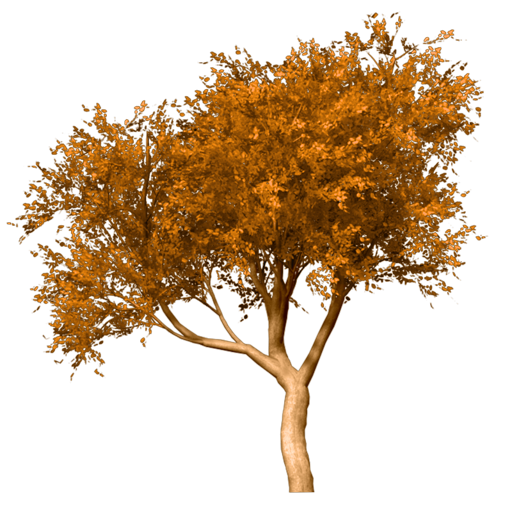 797453210.1png