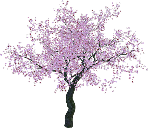 14702236.1png