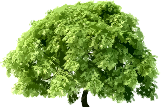 10707842.1png