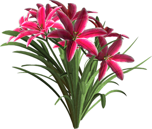 0_f64e8_8e86cd01_orig.1png