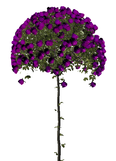 0_70b45_38832473_XL