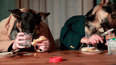 post-25829-dogs-with-hands-eating-peanut-C3oa