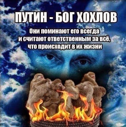 Putin bog