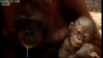 1920454b0dc6dc91b0c83425eda