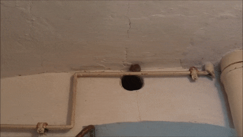 1449472056130843588_yapfiles.ru