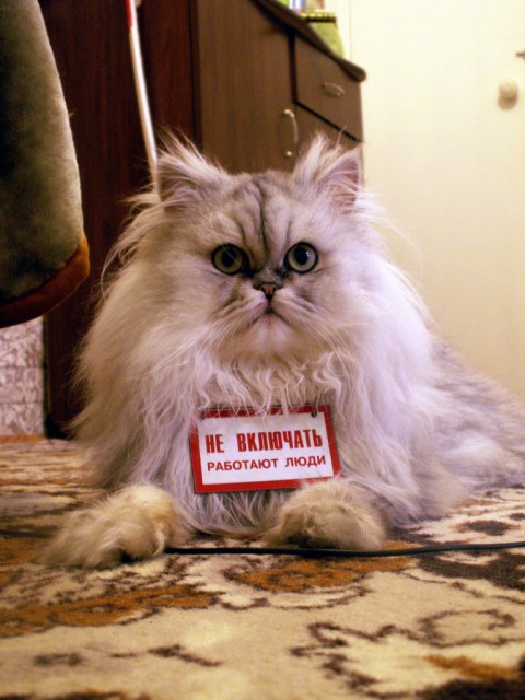 PICT0007