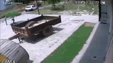 Украли животину