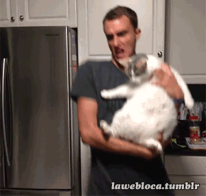 b3b9203734112d6c9797e3d78a0