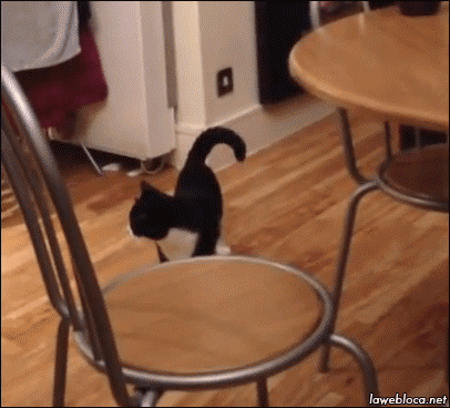 gif-21092015-002