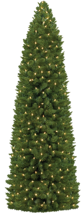 65926358_1288366791_71