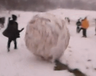 40321931597030_snowball