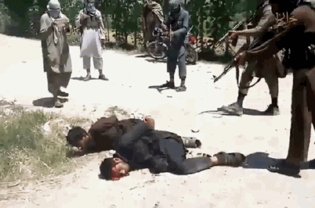 37699729322296_8989_(9)