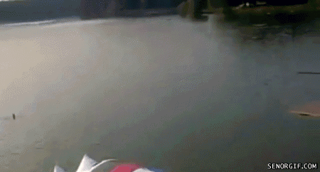 Развлекуха