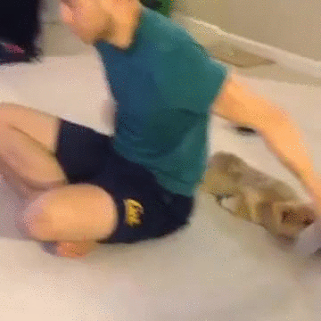 New Imgur loading gif - Imgur
