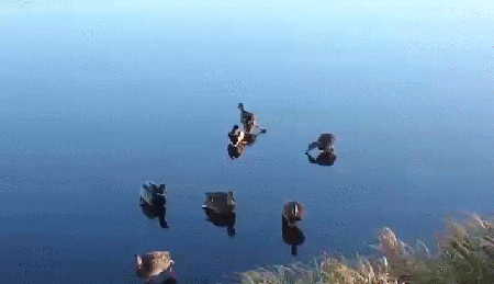 1446541977_427139430_yapfiles.ru