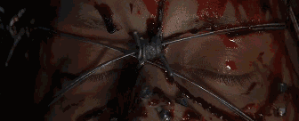 77dc61e3a57163e001a1e86e6a449118