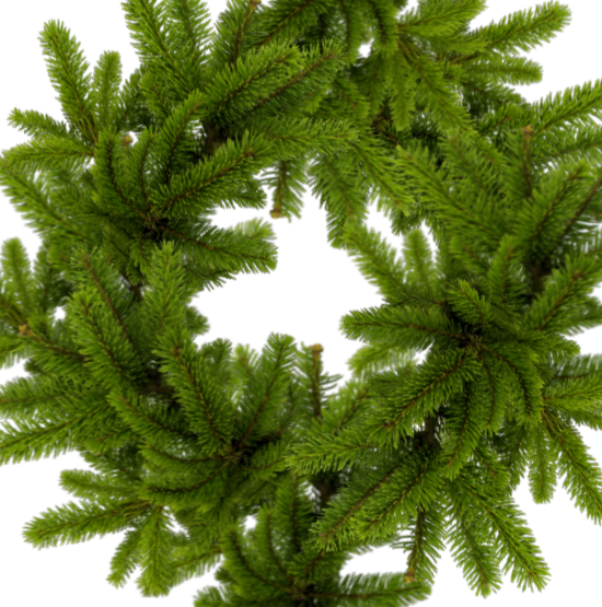 391cade9343367f3bf78fba5b5c51c5bод