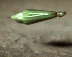 science_gifs_06