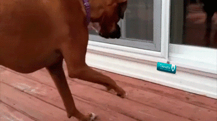 1447316035_40533564 (1)