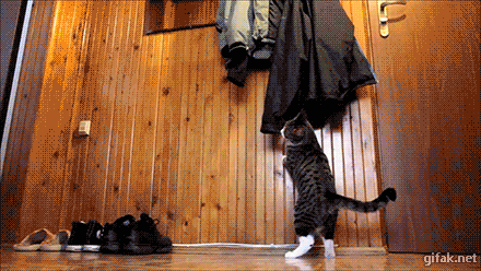 tumblr_nxx8c1ioH21ukldkho1_500