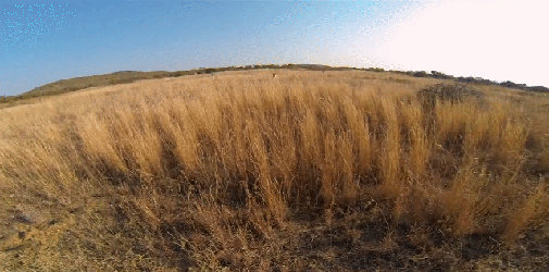 96487641380980_1452616972_505-349