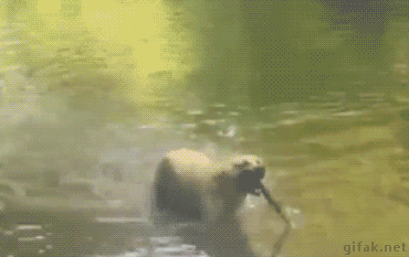 tumblr_nxl2m41xfV1ukldkho1_400