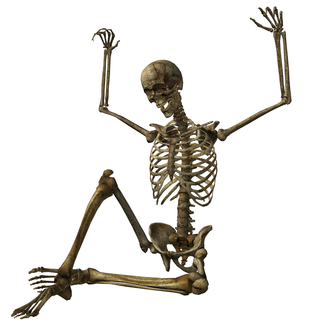 Skeleton png. Скелет. Скиллет. Скелет человека. Скелет сидит.