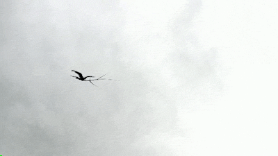 tumblr_naq6v3hIWW1sk87juo1_400