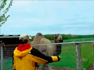 gifs_20 (2)