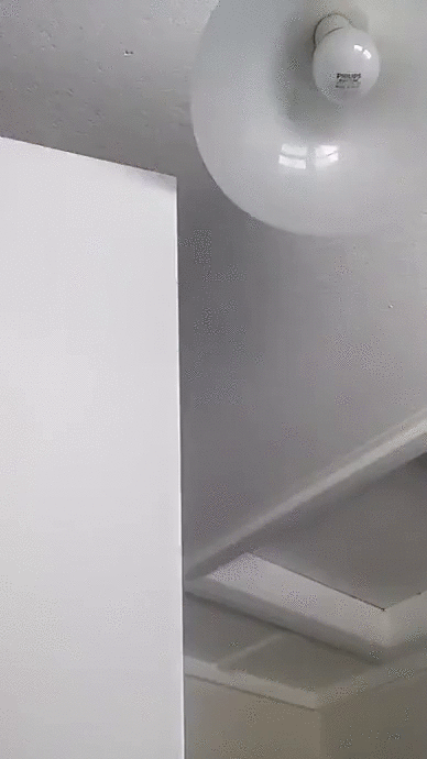 1453305669178176362