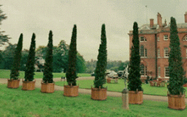 Удивительный садовник