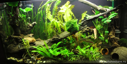 7gf5qb-aqa