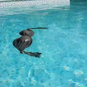 1452493255163281859_yapfiles.ru