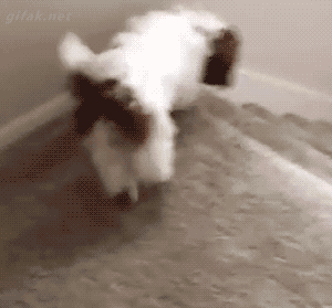 tumblr_o1klyeOzK91ukldkho1_400