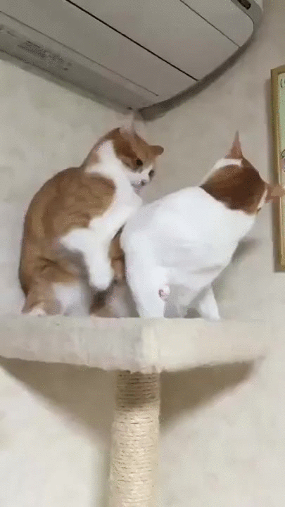 1454321451-2d7eb47ccf599d3da597312b8ae8907e