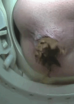 tumblr_n3tnlmVKqm1shjug6o1_250