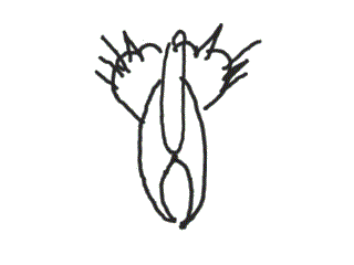 9ec8cbdbd4e18bc603169b1c1d8