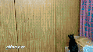 2ae1d092f2174acdfda0d427671