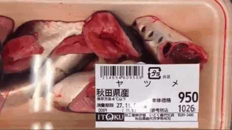 gifjapanfish