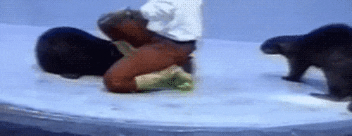 А ты тем временем отвлекай его