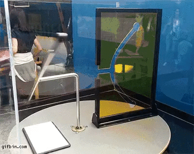 9GAG_Gifs_-_I_m_confused-701101271143620608