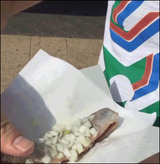 Seagull-steals-fish-yoink