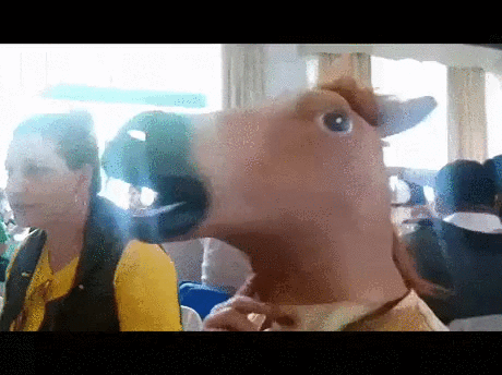 -маскировка-конь-doge-2560898