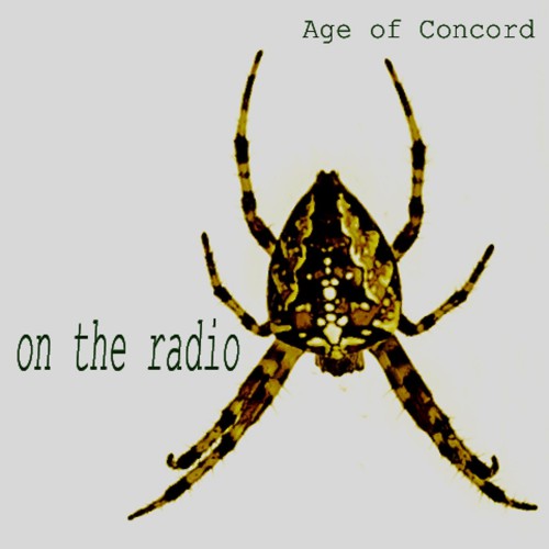 Chris Antblad - Age of Concord On the Radio (2016)