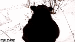 12408445_1319628998063651_1535719181_n (1)