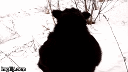 12712137_1319933311366553_1089933594_n