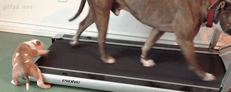 tumblr_o30cbgemly1ukldkho1_500