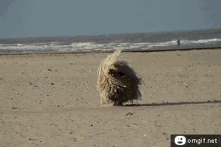 tumblr_mqrtbtKizO1sojjzlo1_400